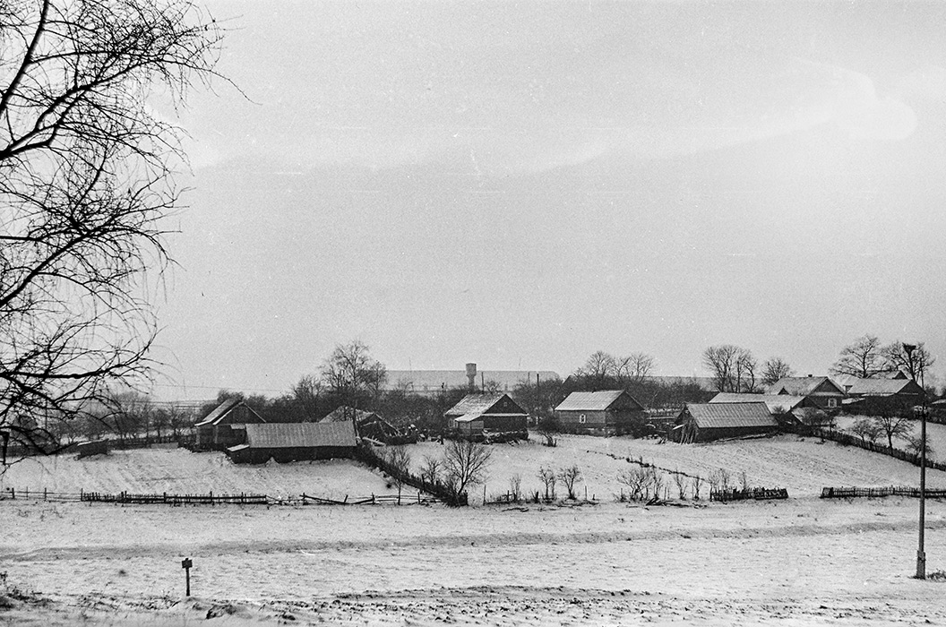 Деревня. Минский р-н, 1983 год