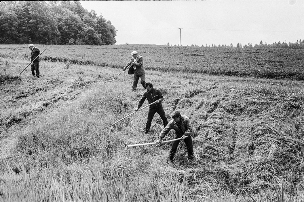 На субботнике конторские работники обкашивают траву на откосах дорог. Начало 80-х